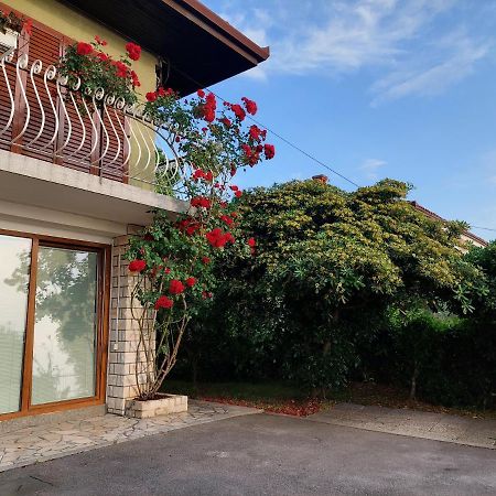 Apartma Niko Πιράν Εξωτερικό φωτογραφία